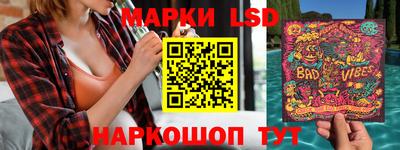 гашик Будённовск