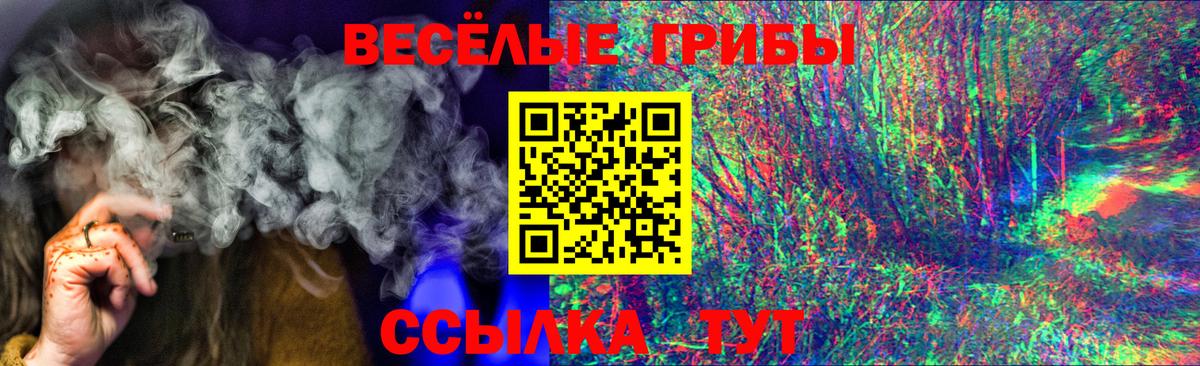 Псилоцибиновые грибы прущие грибы  Вход с VPN  Кулебаки 