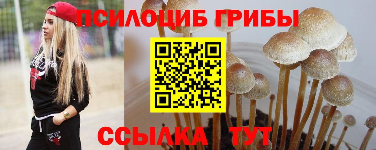 Галлюциногенные грибы мухоморы Кулебаки